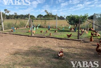 Terrenos en  San Pedro, Partido De San Pedro