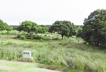 Terreno en  Carrascal De Barregas, Salamanca Provincia