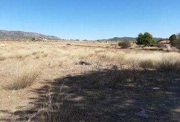 Terreno en  Pinoso, Alicante Provincia