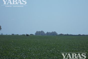 Terrenos en  San Pedro, Partido De San Pedro