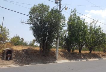Lote de Terreno en  San Salvador El Verde, Puebla