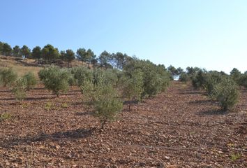 Terreno en  Los Santos De Maimona, Badajoz Provincia