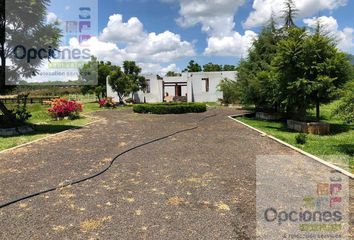 71 tierras en venta en Pátzcuaro, Michoacán 