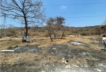 Lote de Terreno en  Plan De Ayala, Morelos