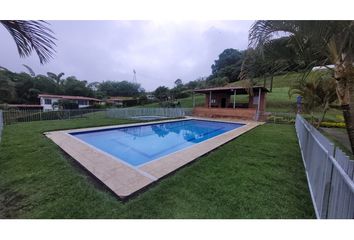 Lote de Terreno en  Palestina, Caldas