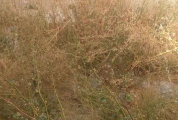 Terreno en  Monóver/monóvar, Alicante Provincia