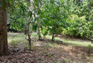 Lote de Terreno en  Campestre Alborada, Tuxpan, Veracruz