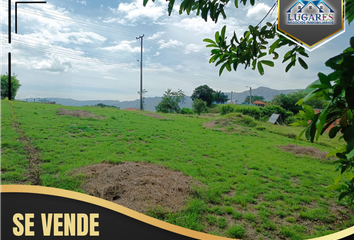 Lote de Terreno en  Carmen De Apicalá, Tolima