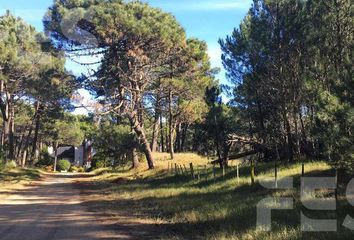 Terrenos en  Otro, Pinamar