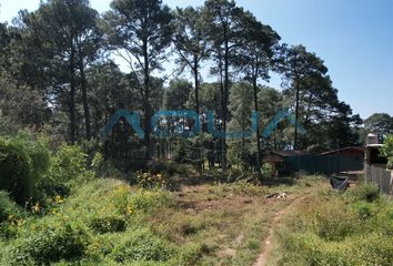 Lote de Terreno en  Valle De Bravo, México, Mex