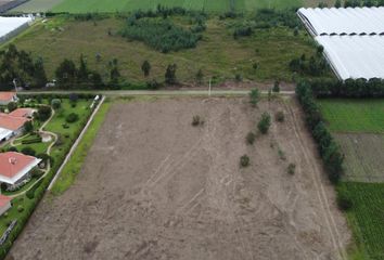 Terreno Comercial en  El Quinche, Quito