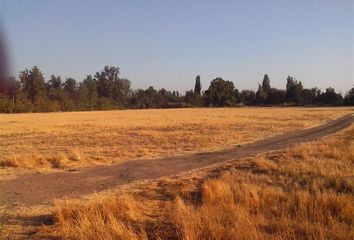 Parcela en  Colina, Chacabuco