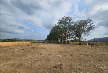 Finca/Hacienda en  Comarca Kuna De Wargandí, Pinogana