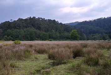 Rancho en  Amanalco, Estado De México