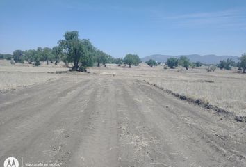 Lote de Terreno en  Tolcayuca, Hidalgo