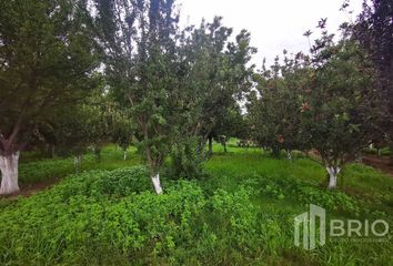 Lote de Terreno en  J Guadalupe Rodriguez, Municipio De Durango