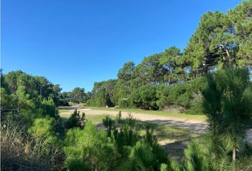 Terrenos en  Otro, Pinamar