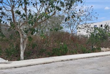 Lote de Terreno en  Conkal, Yucatán, Mex