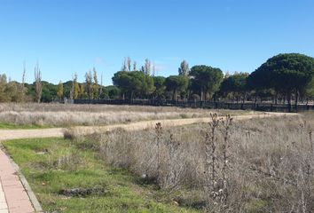 Terreno en  Aldeamayor De San Martin, Valladolid Provincia