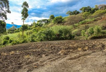 Terreno Comercial en  Malacatos (valladolid), Loja