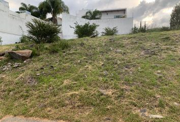 Lote de Terreno en  Rancho O Rancheria Salto De León, Coroneo