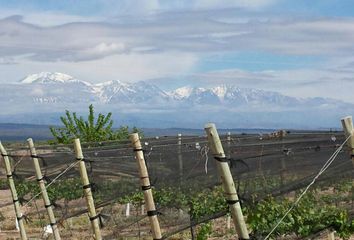 Terrenos en  Luján De Cuyo, Mendoza