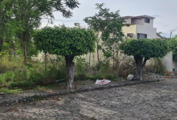Lote de Terreno en  Las Palmas, Cuernavaca, Morelos