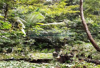 Terreno en  Iquitos, Maynas