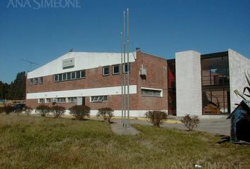 Galpónes/Bodegas en  Benavidez, Partido De Tigre