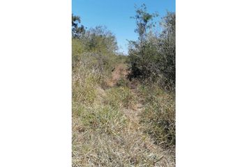 Lote de Terreno en  Hacienda El Cuyo, Tizimín