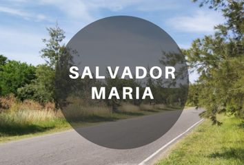 Terrenos en  Salvador María, Partido De Lobos