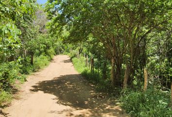 Lote de Terreno en  La Dolce Vita, Carretera El Coco-puerto Ángel, Santa María Tonameca, Oaxaca, Mex