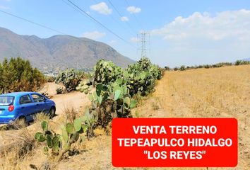 Lote de Terreno en  Los Reyes, Tepeapulco