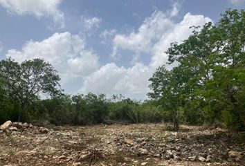 Lote de Terreno en  Santa Gertrudis Copo, Mérida, Yucatán