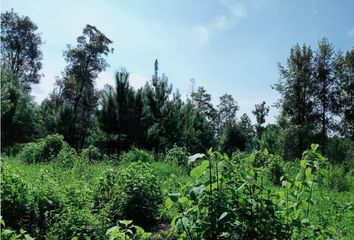 Lote de Terreno en  Avándaro, Valle De Bravo