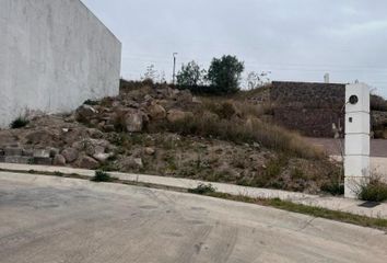 Lote de Terreno en  Simón Diaz Aguaje, San Luis Potosí