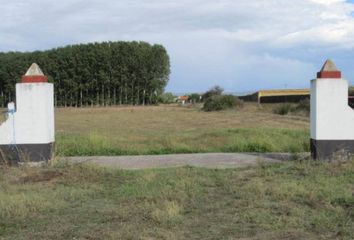 Terreno en  Ciudad Rodrigo, Salamanca Provincia