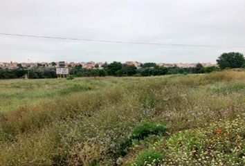 Terreno en  Zamora, Zamora Provincia