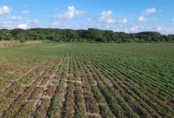 Lote de Terreno en  Santa María Tonameca, Oaxaca