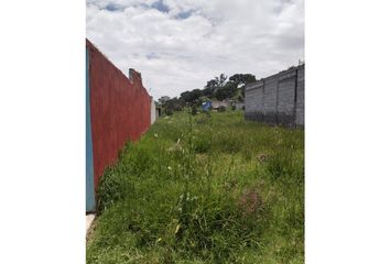 Lote de Terreno en  Vicente Guerrero, Santiago Tulantepec, Santiago Tulantepec De Lugo Guerrero