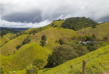 Villa-Quinta en  Caracolí, Antioquia