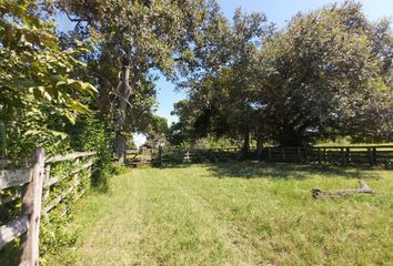 Lote de Terreno en  Bella Vista, Pueblo Viejo, Pueblo Viejo, Veracruz