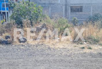 Lote de Terreno en  Santa María Tepepan, Xochimilco