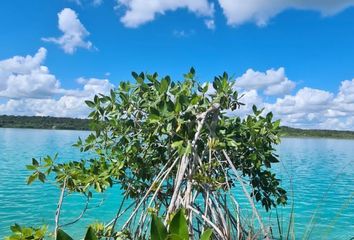 Lote de Terreno en  Othón P Blanco, Quintana Roo, Mex