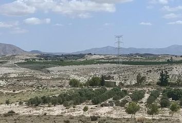 Terreno en  Molina De Segura, Murcia Provincia