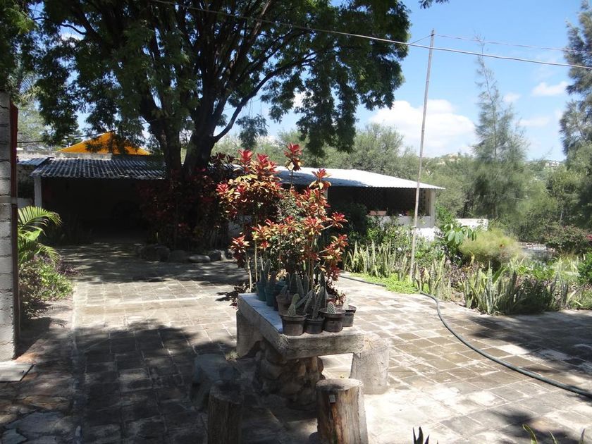 venta Lote de Terreno en San Miguel, Tehuacán, Tehuacán (31717847