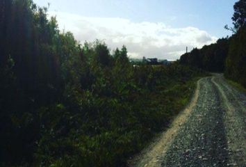 Parcela en  Ancud, Chiloé