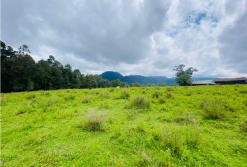 Lote de Terreno en  Avándaro, Valle De Bravo