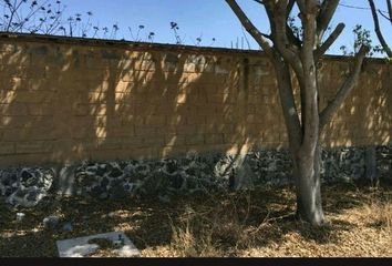Lote de Terreno en  Pueblo Tetecalita, Emiliano Zapata, Morelos