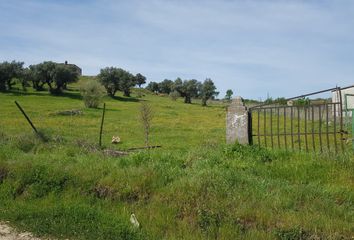 Terreno en  Plasencia, Cáceres Provincia